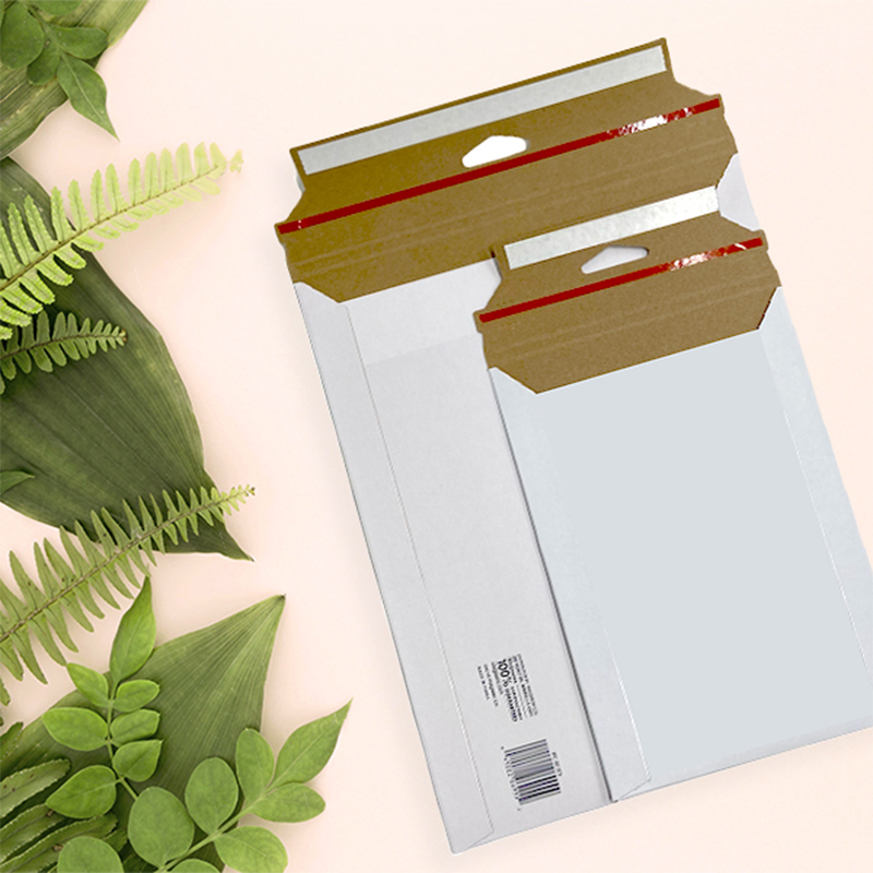 生分解性の書類封筒